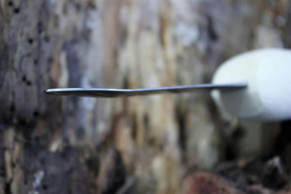 Oyster Knife