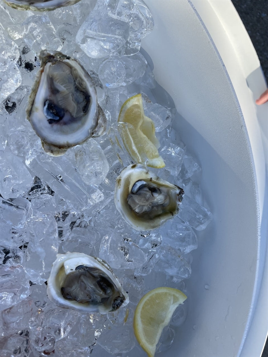 Oyster Roast Table